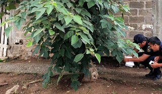 Encontraron un joven sin vida en barrio sampedreño