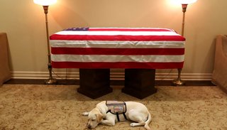 Los restos de Bush llegaron a Washington para los honores