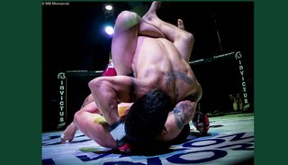 A la jaula con artes marciales mixtas