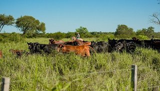 La Corte falló para que el municipio de Joaquín V. González presente el impacto ambiental de la Inversora Juramento