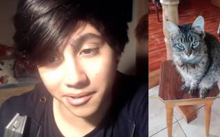 Brutal: se grabó golpeando a un gato y genera indignación en las redes sociales