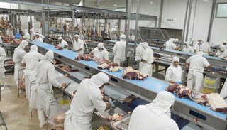 Rusia frena importaciones de cinco frigoríficos argentinos y podría ampliar la medida