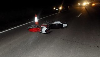 Un joven motociclista falleció al chocar contra una vaca en la ruta nacional 24