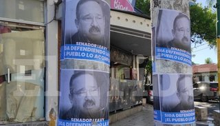 Con afiches en la ciudad, piden que Leavy mantenga su voto contra el aborto