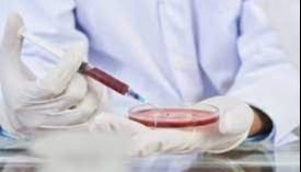 Salmonella en Salta: advierten sobre la necesidad de un diagnóstico certero 